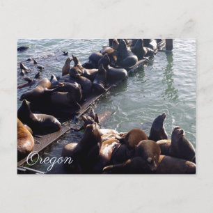 Oregon State Postcard