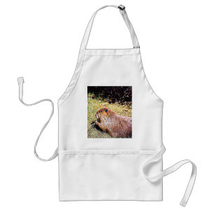 Oregon The Beaver State Standard Apron