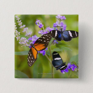 oregon, usa 2 inch square button