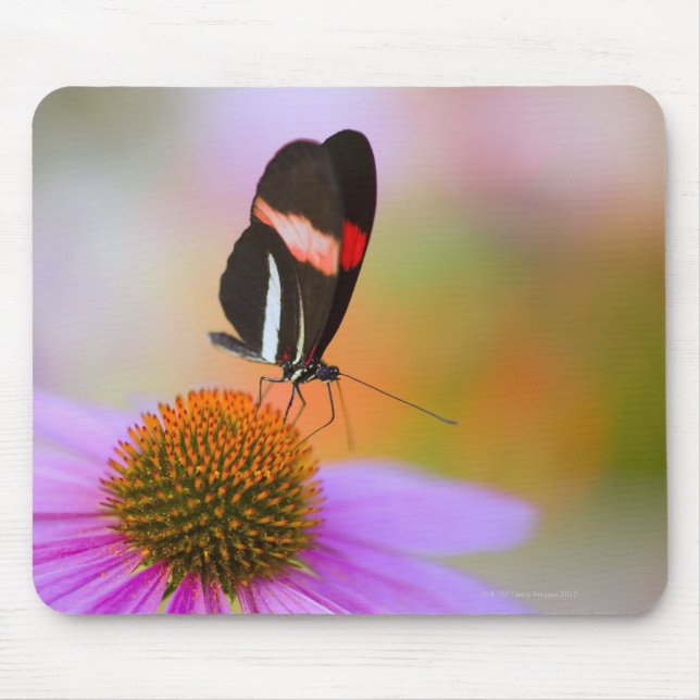 oregon, usa 2 mouse pad (Front)