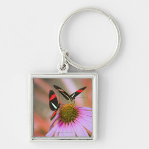 oregon, usa 3 keychain