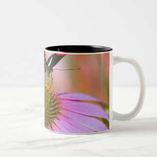 oregon, usa 3 Two-Tone coffee mug