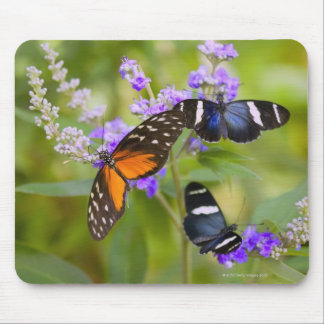 oregon, usa mouse pad