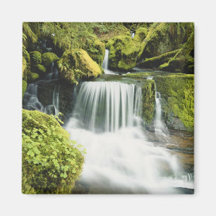 Oregon, Waterfall in Willamette national Magnet