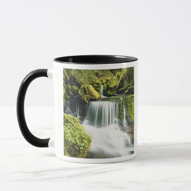 Oregon, Waterfall in Willamette national Mug (Left)
