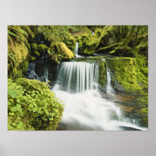 Oregon, Waterfall in Willamette national Poster