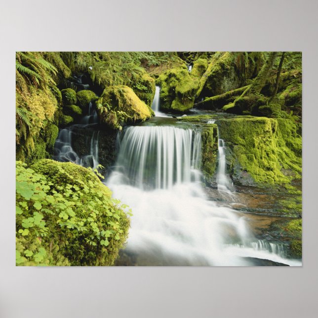 Oregon, Waterfall in Willamette national Poster (Front)
