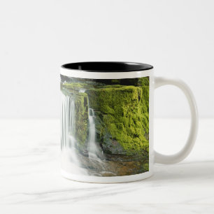 Oregon, Waterfall in Willamette national Two-Tone Coffee Mug