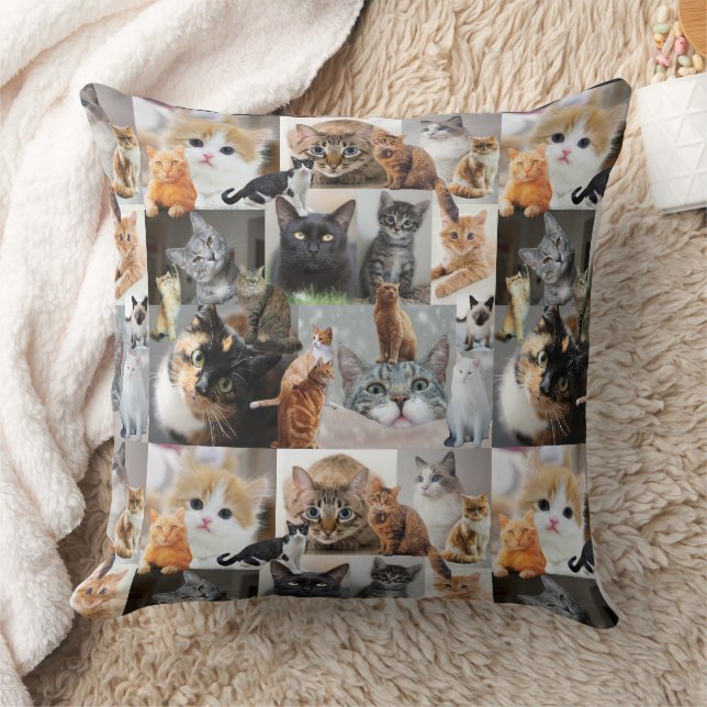 Oreiller à lancer de chat (Couverture)