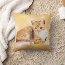 Oreiller à lancer de chat blanc orange