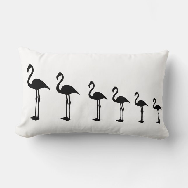 Oreiller à lancer de l'évolution du Flamant rose (Recto)