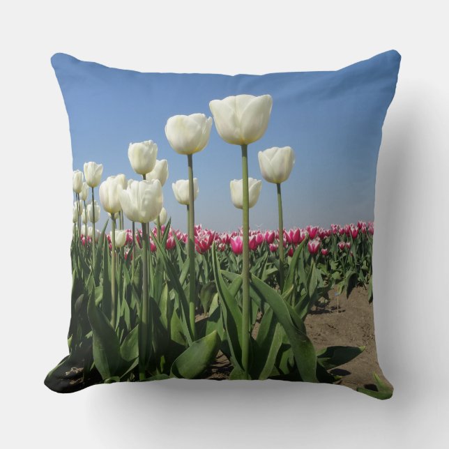 Oreiller à lancer de terrain de tulipes blanches e (Recto)