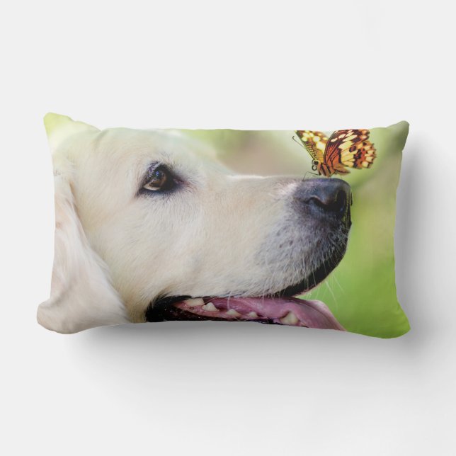 Oreiller À Lancer Du Labrador Et Du Papillon (Recto)
