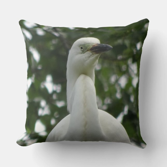 Oreiller à lancer près de l'aigrette (Recto)