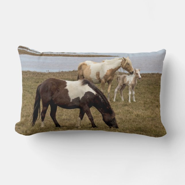 Oreiller à lancer Sunburst (Recto)