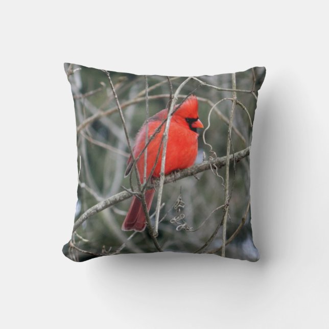 Oreiller Cardinal Rouge Royal (Recto)
