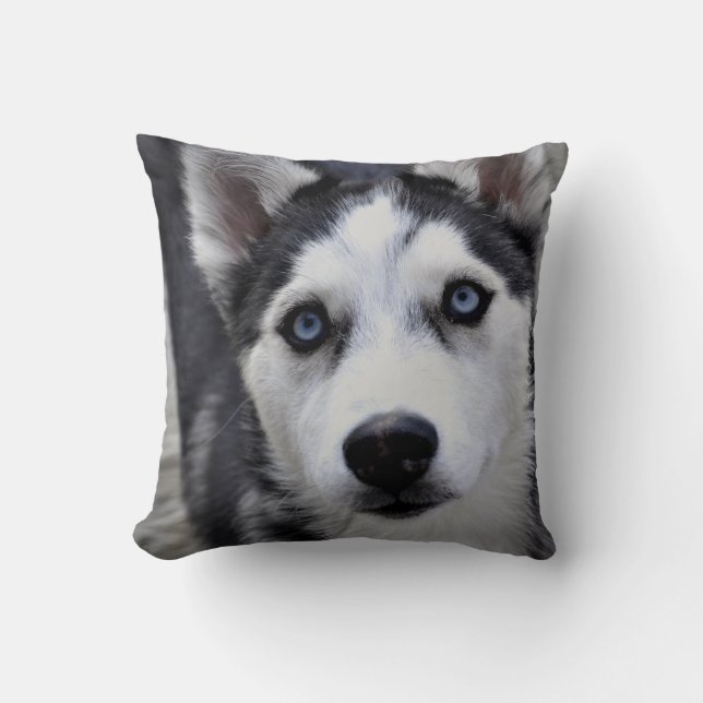 Oreiller chiot husky (Recto)