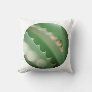 Oreiller Coussin de plante succulente verte pâle