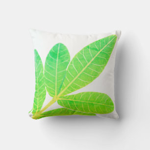 Oreiller de décoration aux feuilles de houx brésil