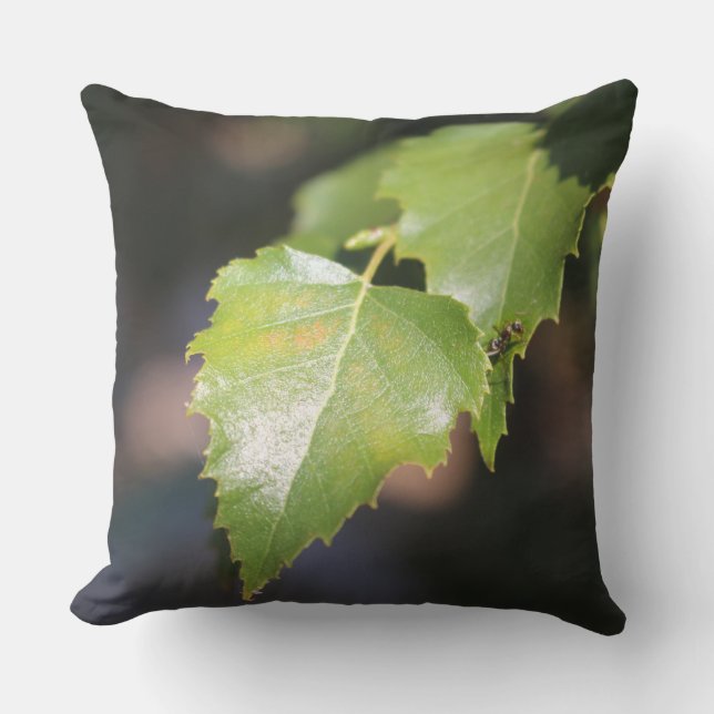 Oreiller de décoration de feuilles de bouleau de p (Recto)