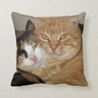 Oreiller Décoratif Chats