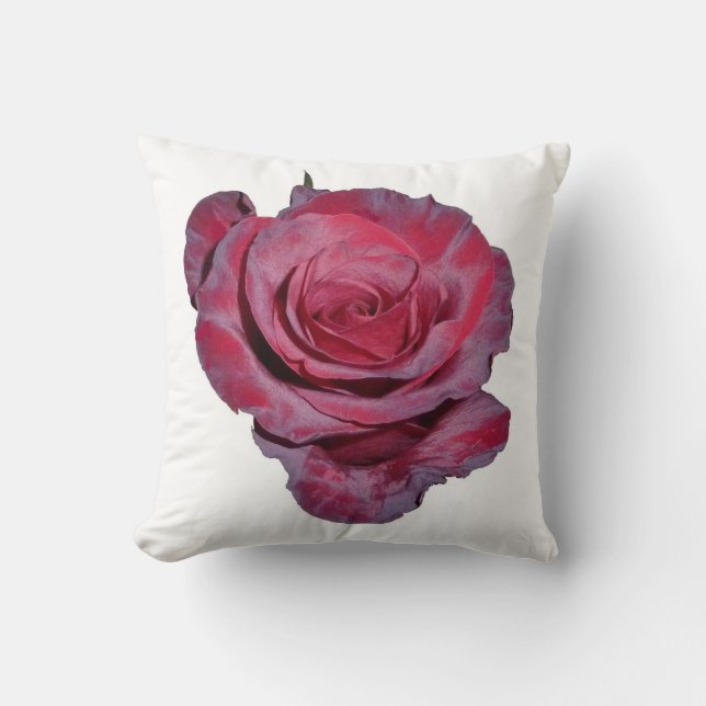 Oreiller en rose (Recto)