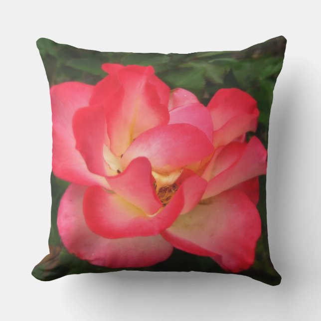 Oreiller extérieur Rose rouge (Recto)
