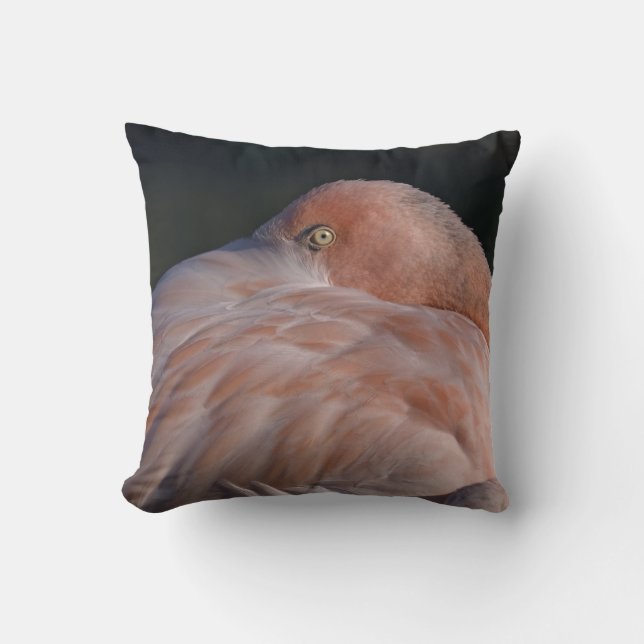 Oreiller Flamant Rose Dormant (Recto)