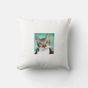 Oreiller Jeté Chat