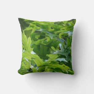Oreiller jeté de feuilles de chêne vert