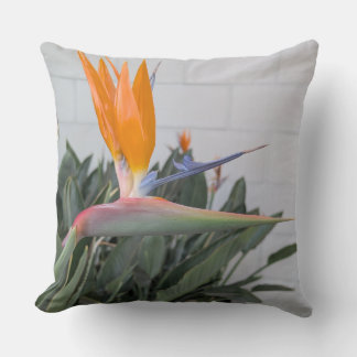 Oreiller jeté - série florale oiseau de paradis