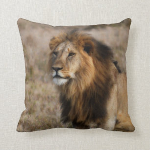 Oreiller Lion Africain
