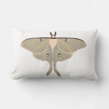 Oreiller Luna Moth