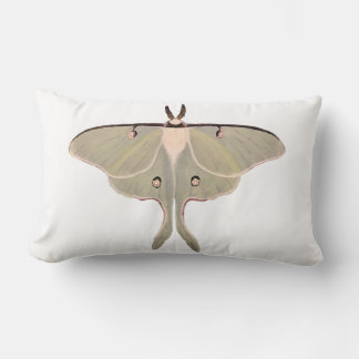 Oreiller Luna Moth