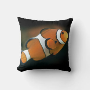 Oreiller Nemo