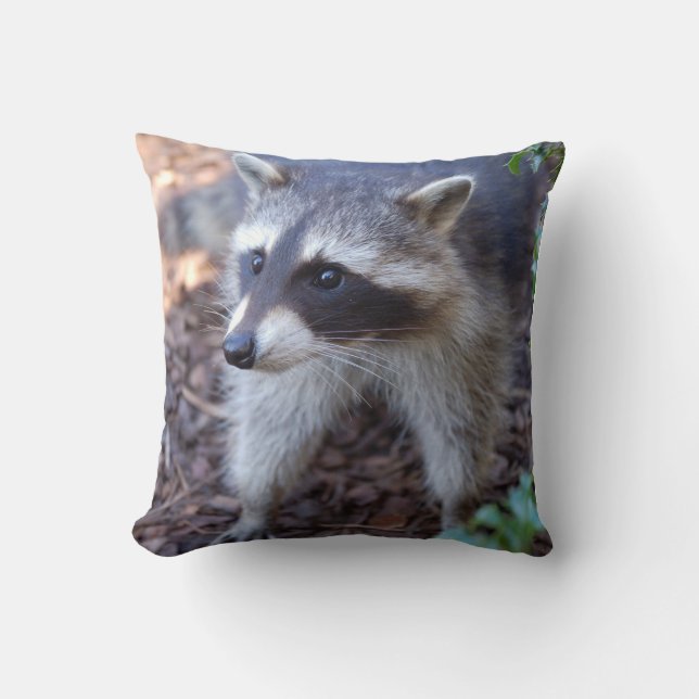 Oreiller Racoon (Recto)