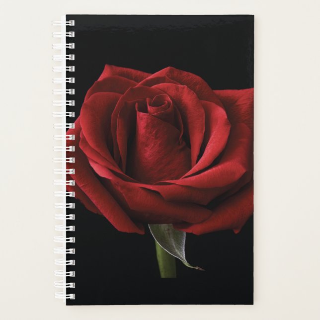 oreiller rouge (Devant)