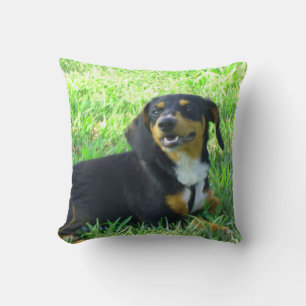 Oreiller vert de la forêt de Dachshund souriant
