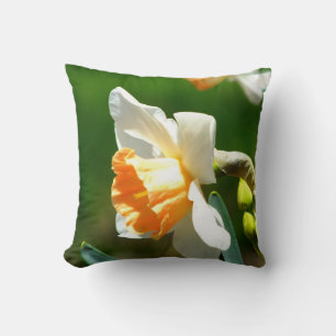 Oreillers à lancer d'abricot Daffodil