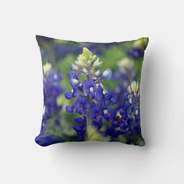 Oreillers à lancer de Bluebonnet Texas (Recto)