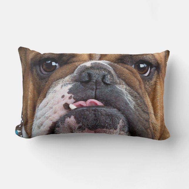 Oreillers à lancer de Bulldog anglais (Recto)