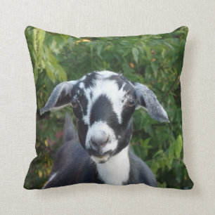 Oreillers à lancer de chèvre laitier mini-nubien