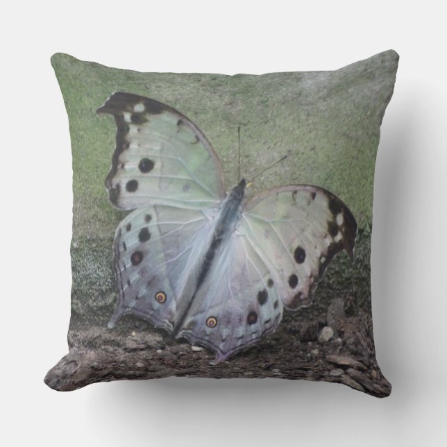 Oreillers à lancer de papillon tropical blanc poin (Recto)