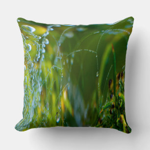 Oreillers à lancer Web Spider