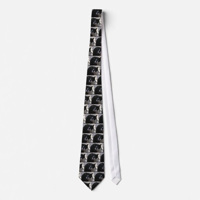 Oreo Cat Tie (Front)