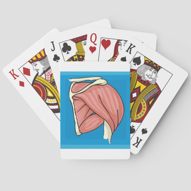 Organ Illustration Playing Cards (Back)