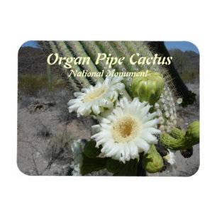 Organ Pipe Cactus National Monument Magnet