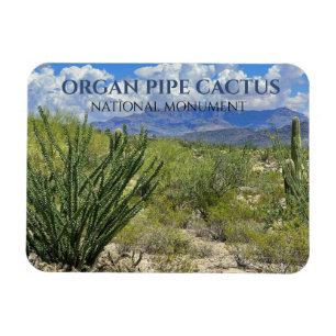 Organ Pipe Cactus, Ocotillo Shrub, Ajo Mountains Magnet