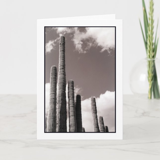 Organ Pipes Greeting Card (Front)