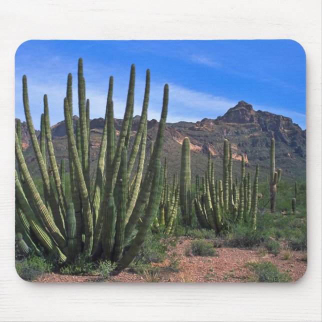 Organ Pipes In Desert Mouse Pad (Front)